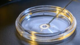 Embryo as property