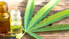 Cannabis Image