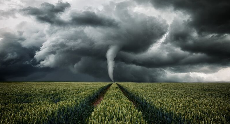 Image for Coping with foreseeable events article