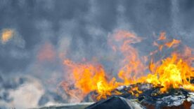 Image for A Tale of Arson, Corporate Liability, and Insurance Covenants blog