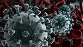 Medical images of blood cells and the coronavirus germs