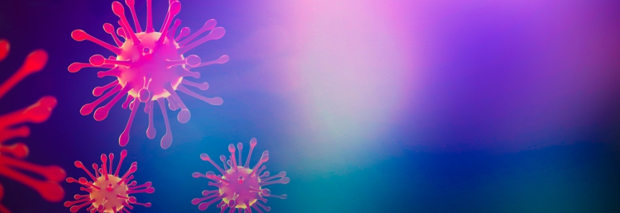 Coronavirus germs floating in a pink/purple and blue background