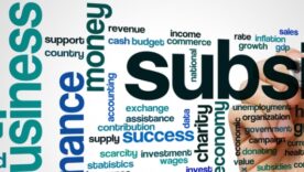 Multiple words with subsidy written the biggest and other words abound representing it