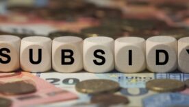 Paper money and coins with 7 wooden blocks spelling out SUBSIDY on it