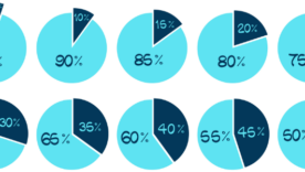 Pie graphs going up in increments of 5, showing different ratios from 95% to 50/50%