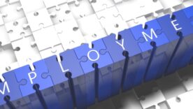 White puzzle pieces and in the middle blue puzzle pieces together that spell out the word EMPLOYMENT