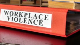 Documents about workplace violence in the court