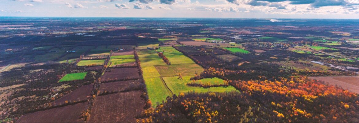 Vast patchwork of farmland and forests under a cloudy sky, showcasing vibrant green and golden autumn hues stretching to the horizon.