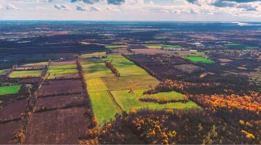 Vast patchwork of farmland and forests under a cloudy sky, showcasing vibrant green and golden autumn hues stretching to the horizon.